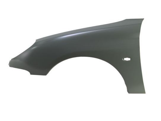 P206 (98-10) Sol Ön Çamurluk 7840.J4