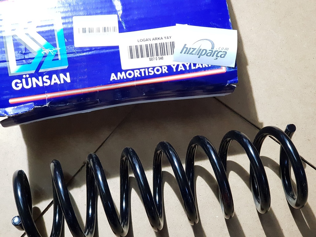 Logan Helezon Yayı Arka 6001547971 Takım