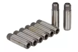 [GUNES G0300] P206 P207 P307 C2 C3 C4 1.4 16V Et3 Sübap Gaydı