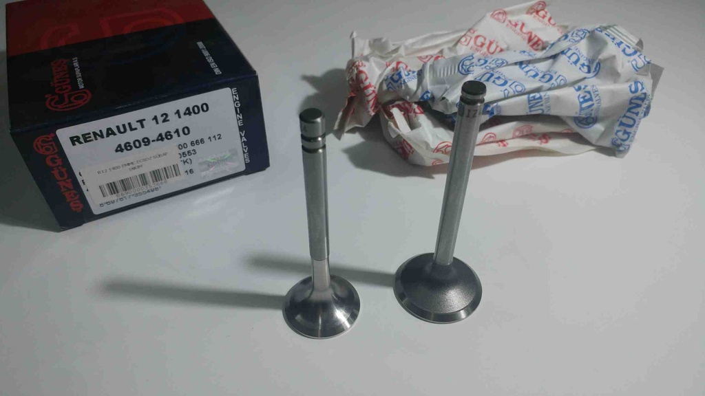 [GUNES 4609-4610] R12 1400 Emme Egsoz Sübap Takım 7700682064 7700666112