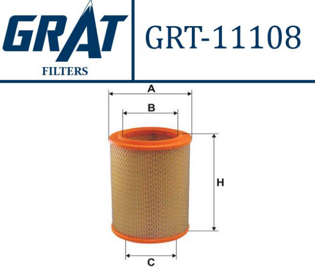 R12 Hava Filtresi 7701001494