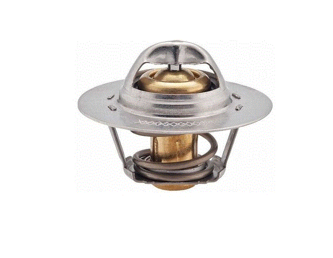 R11 Flash Golf 4 Bora AKL BSE Termostat 89 7700723945