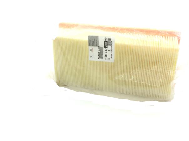 P208 P308 C4 C-Elysee P301 1.2 Vtı Hava Filtresi 9674725580 Orjinal