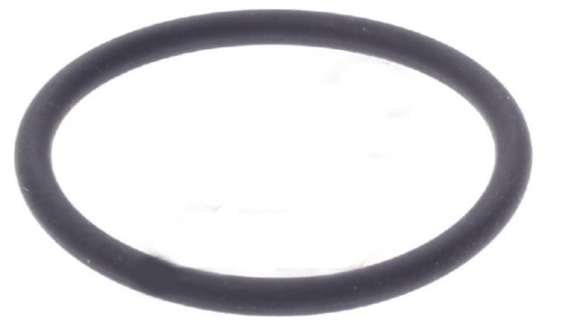 Partner 1.9 Vakum Pompa Oring 4556.06 Orjinal