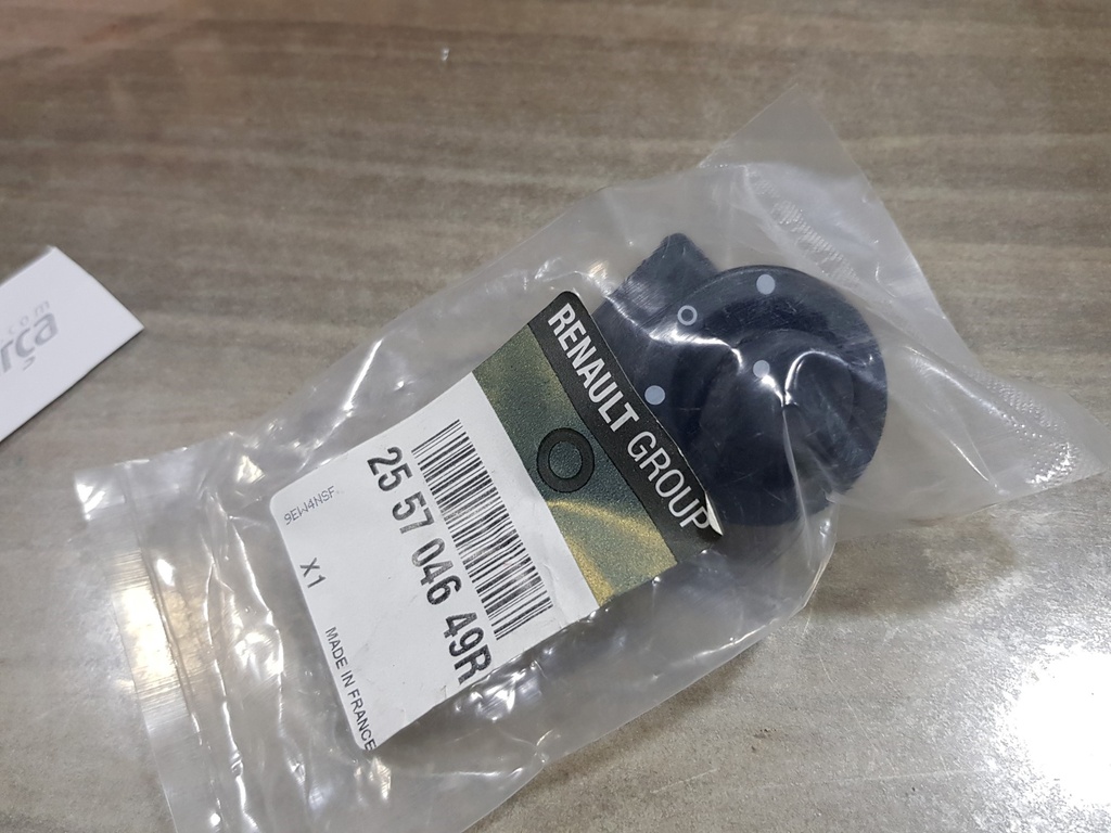 Logan Sandero Stepway Dış Dikiz Ayna Düğmesi 255704649R Orjinal