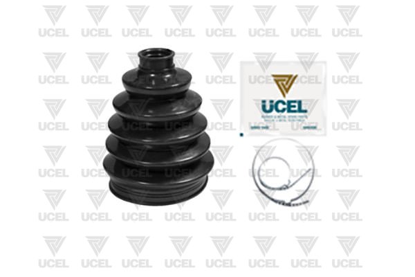[UCAL 10891] Master 3 2010- Aks Körük Dış 392417848R
