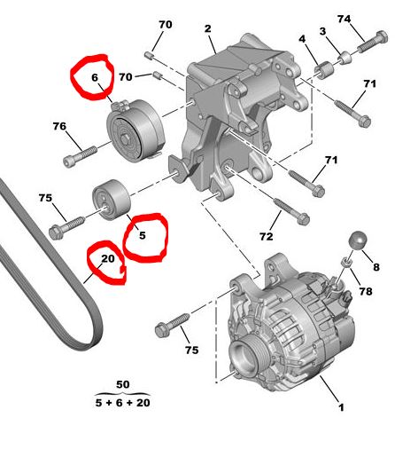 Partner Berlingo 2.0 Hdi Dw10 Alternatör Kayış Kiti 1613844680 Orjinal