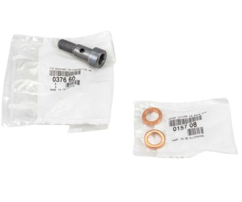 P206 P307 P407 C4 1.4 1.6 Hdi Dv6 Dv4 Turbo Yağ Hortum Vidası 0376.60 Orjinal